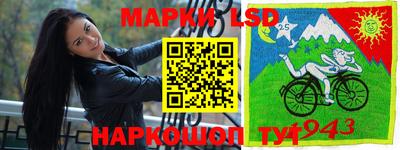 индика Рузаевка