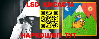 индика Рузаевка