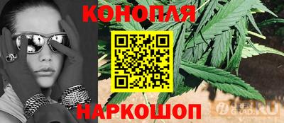 индика Рузаевка