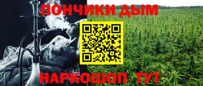 индика Рузаевка