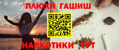 индика Рузаевка