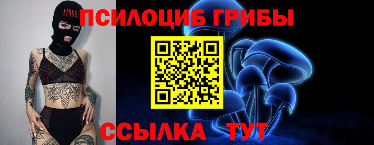 Галлюциногенные грибы мицелий  Вход с VPN  Новошахтинск  Галлюциногенные грибы Psilocybe 
